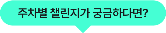 주차별 챌린지